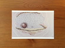 Load image into Gallery viewer, The Pearl Postcard by Nipper Sorensen