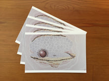 Load image into Gallery viewer, The Pearl Postcard by Nipper Sorensen